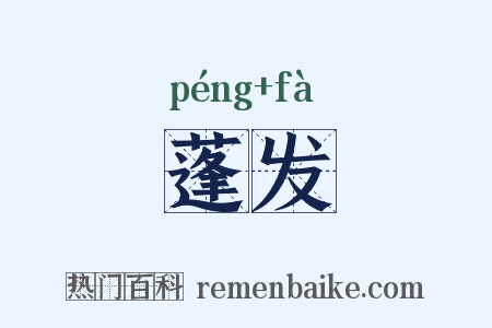 蓬发是什么意思的图片
